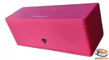 Parlante Portátil Bluetooth PSB213/ NOBLEX
