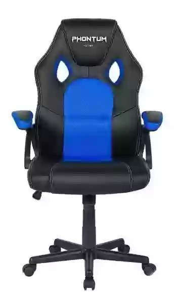 Silla Gamer Ergonomica Netmak Nm-phontum Color Negro Y Azul